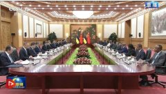 感对非洲国度的支撑