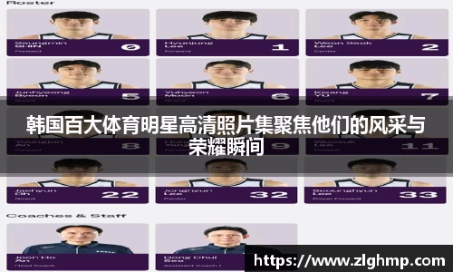 米乐m6官网登录入口