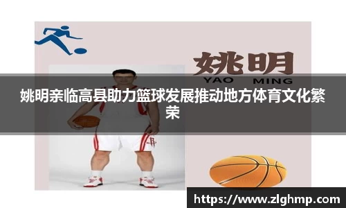 米乐m6