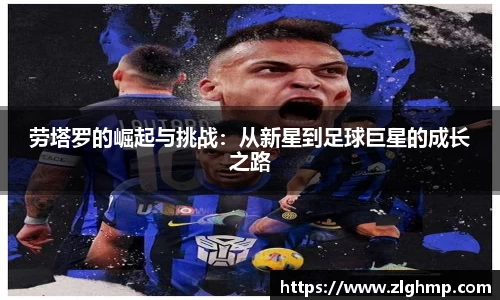 米乐m6