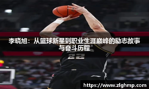 米乐m6