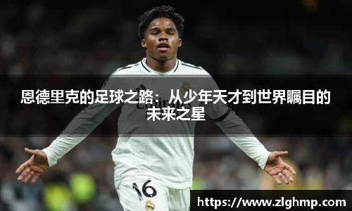 米乐m6官网