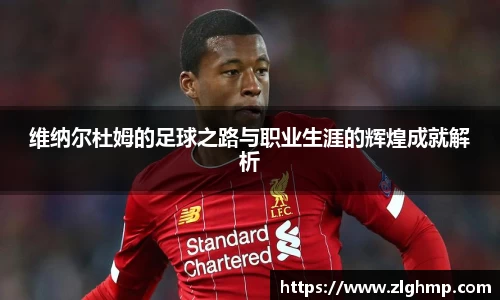 维纳尔杜姆的足球之路与职业生涯的辉煌成就解析